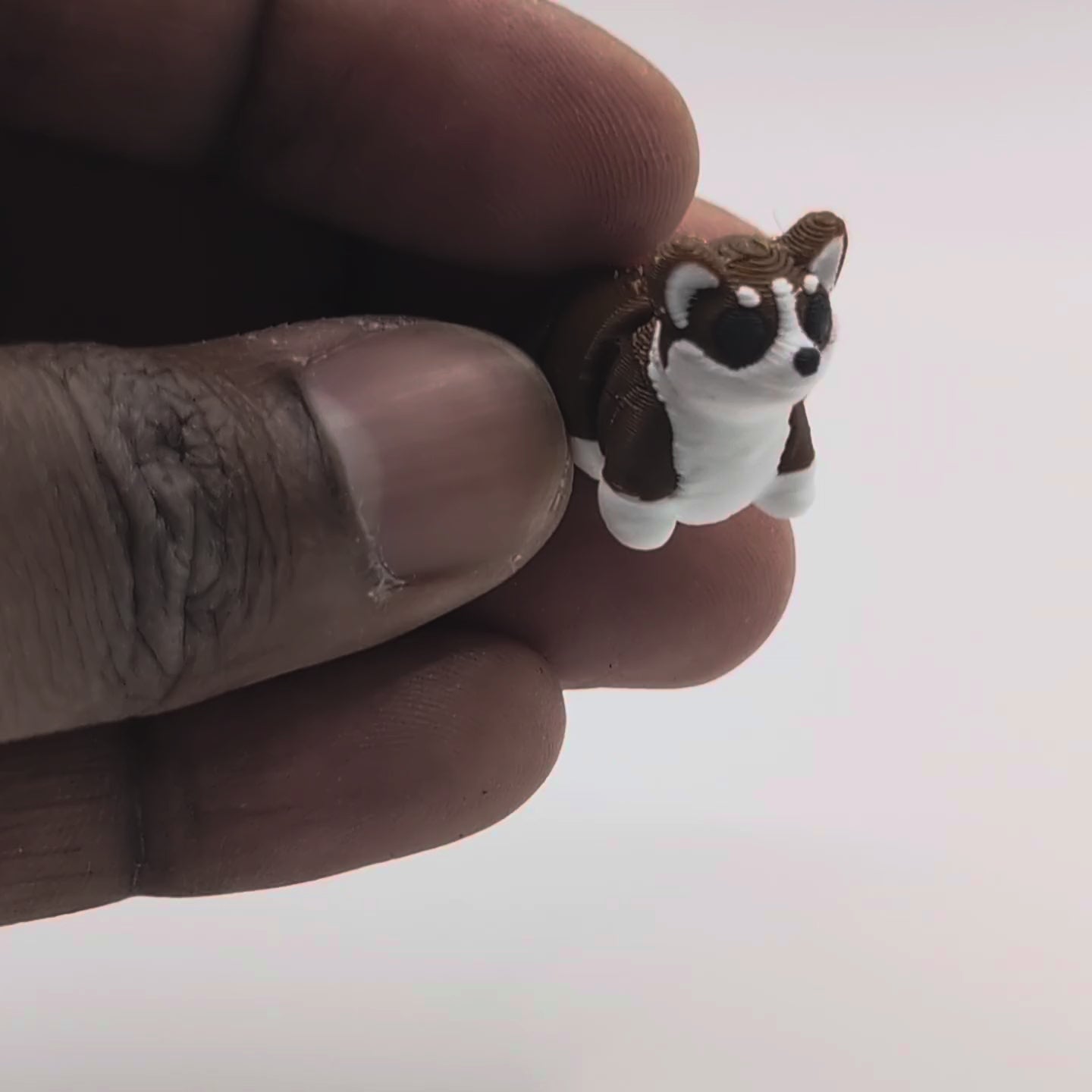 Mini Baby Corgi — 3D printed mini figure, articulated in hand